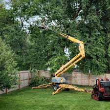 Leaf Removal in Flippin, AR